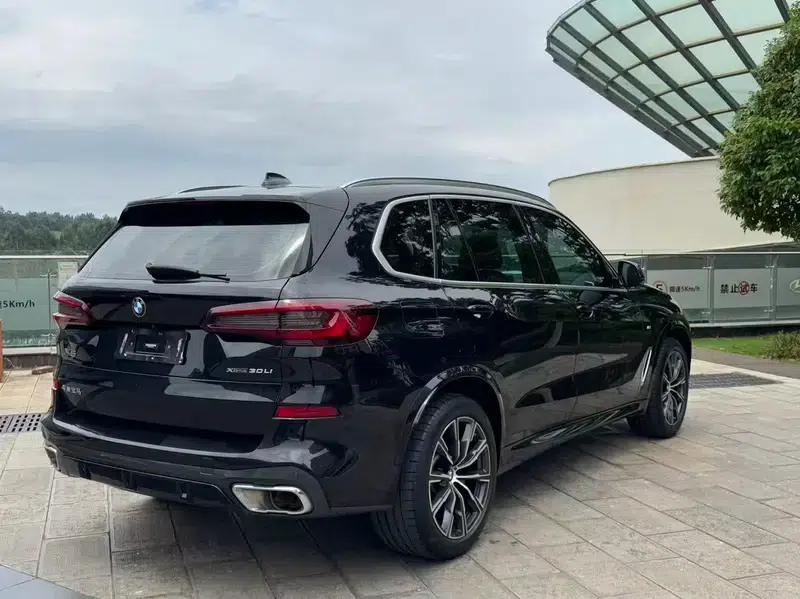 BMW X5 2022 xDrive 30Li Luxury M Sport Package — миниатюра 6