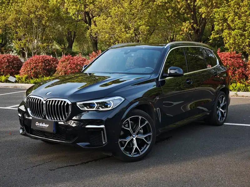 BMW X5 2022 xDrive 40Li M Sport Package — миниатюра 1