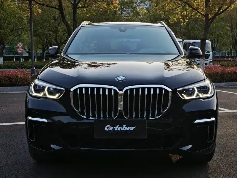 BMW X5 2022 xDrive 40Li M Sport Package — миниатюра 2