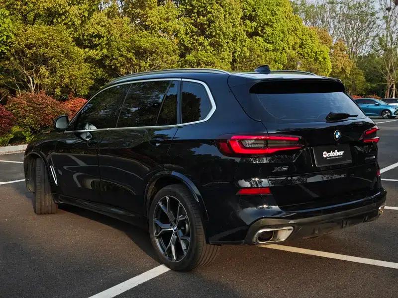BMW X5 2022 xDrive 40Li M Sport Package — миниатюра 3