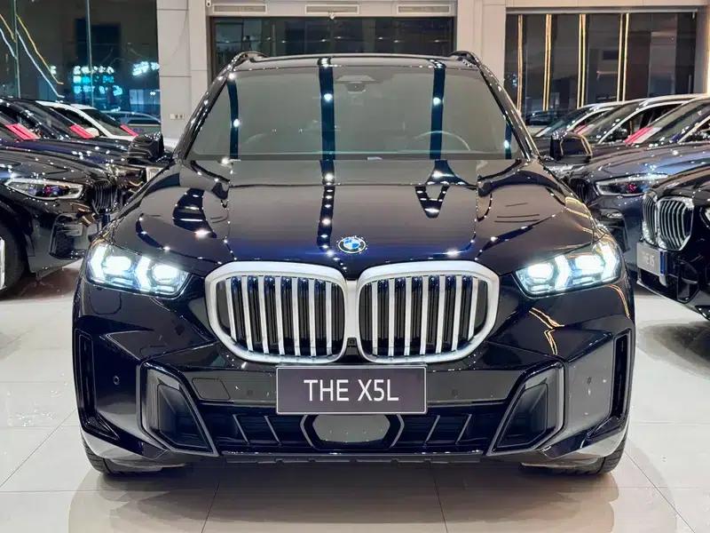 BMW X5 2023 xDrive40Li M Sport Shadow Edition — миниатюра 2
