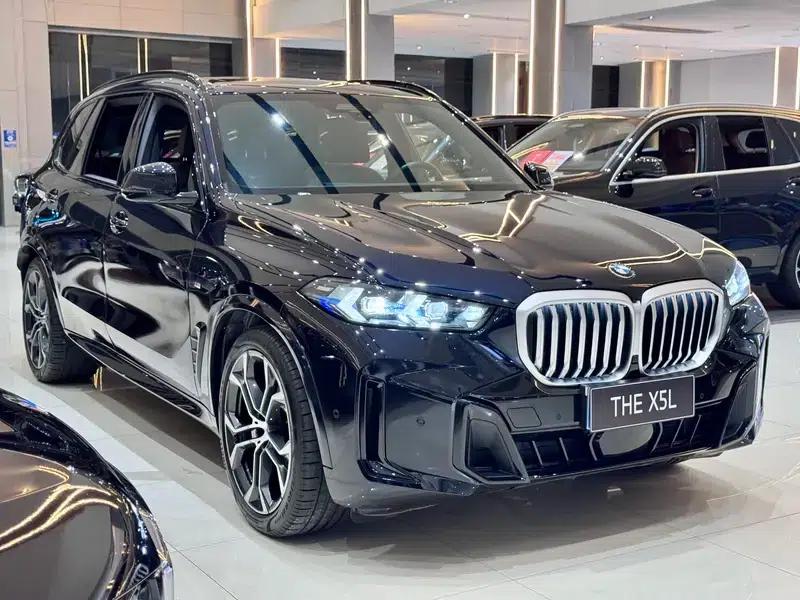 BMW X5 2023 xDrive40Li M Sport Shadow Edition — миниатюра 3