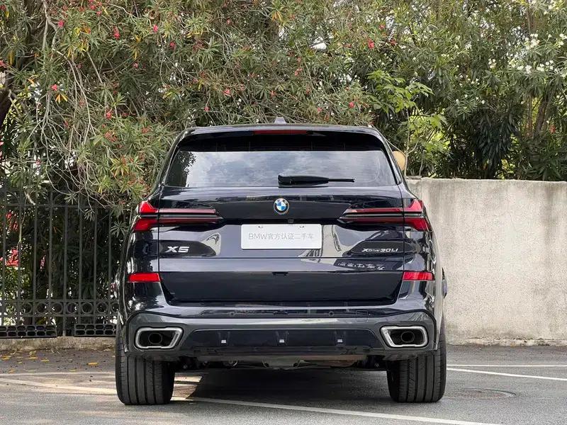 BMW X5 2025 xDrive30Li M Sport Shadow Edition — миниатюра 4
