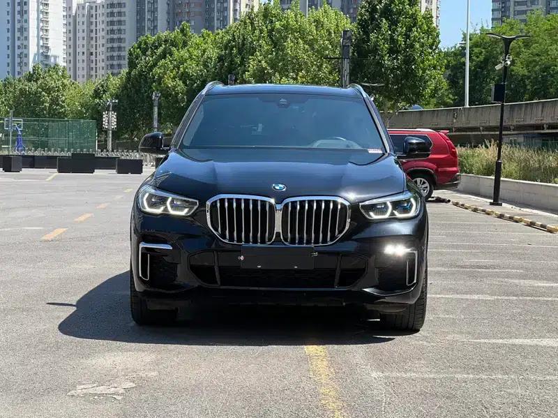BMW X5 2022 Facelift xDrive 40Li M Sport Package — миниатюра 2