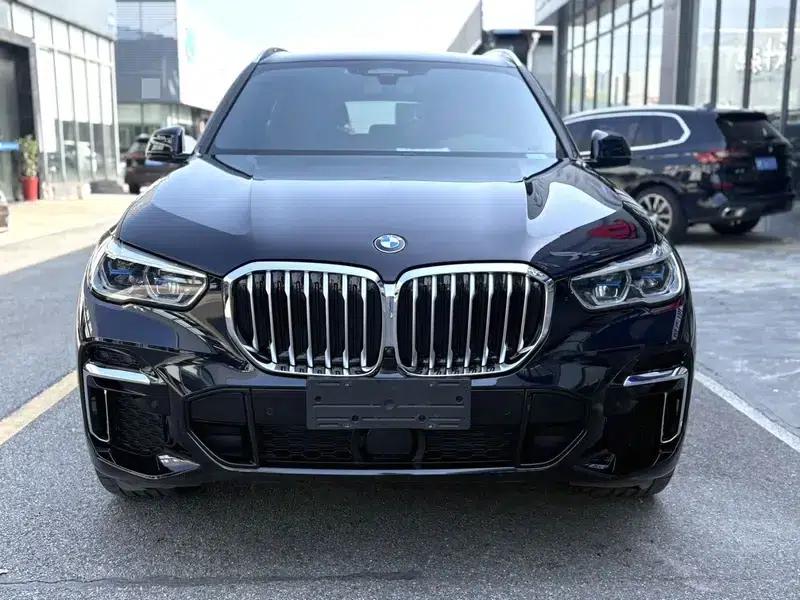 BMW X5 2022 xDrive 40Li Luxury M Sport Package — миниатюра 2