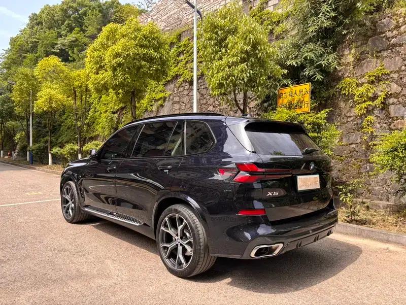 BMW X5 2023 xDrive30Li M Sport Shadow Edition — миниатюра 5