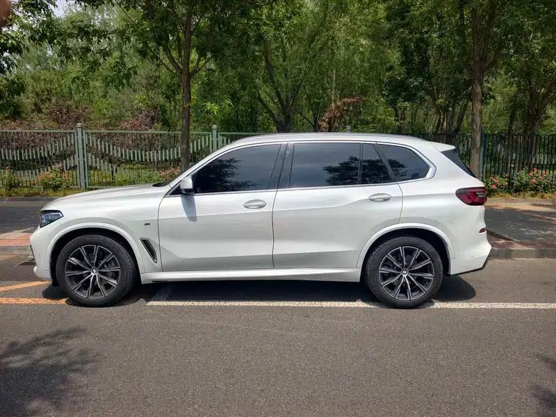 BMW X5 2022 xDrive 30Li Luxury M Sport Package — миниатюра 4