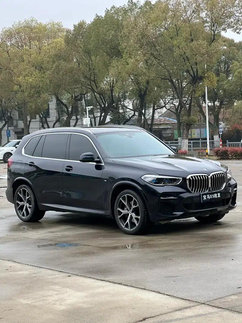 BMW X5 2022 Facelift xDrive 40Li M Sport Package — миниатюра 3