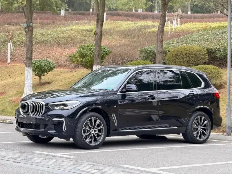 BMW X5 2022 xDrive 30Li M Sport Package — миниатюра 1