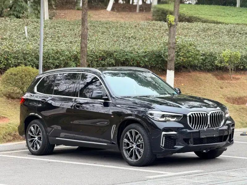 BMW X5 2022 xDrive 30Li M Sport Package — миниатюра 3
