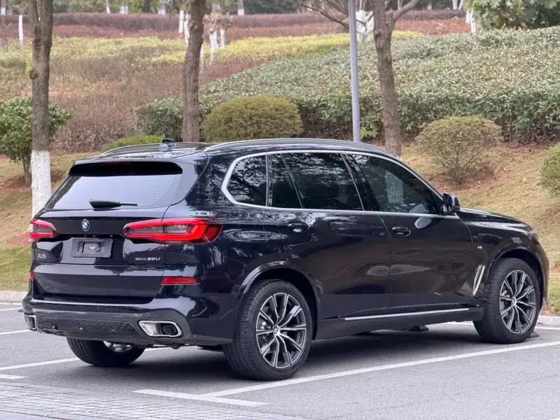 BMW X5 2022 xDrive 30Li M Sport Package — миниатюра 6