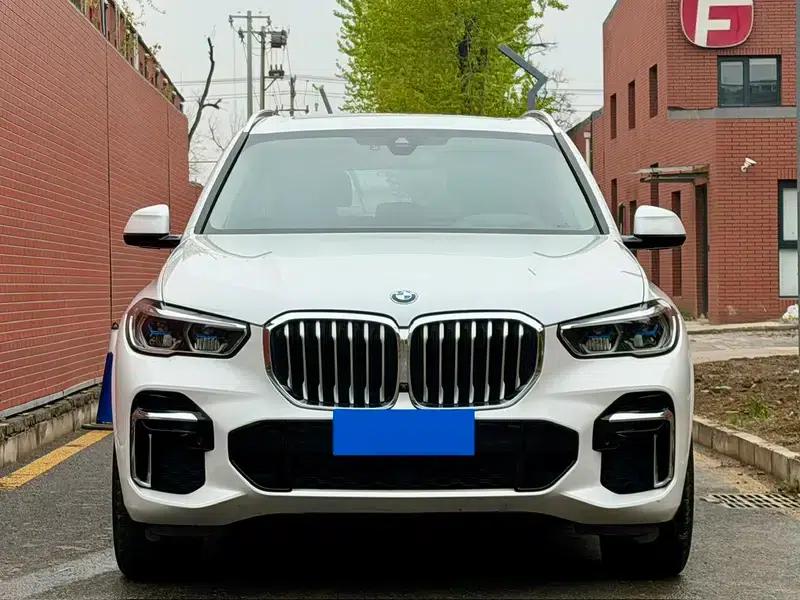 BMW X5 2022 xDrive 30Li Luxury M Sport Package — миниатюра 2