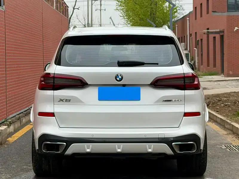 BMW X5 2022 xDrive 30Li Luxury M Sport Package — миниатюра 5