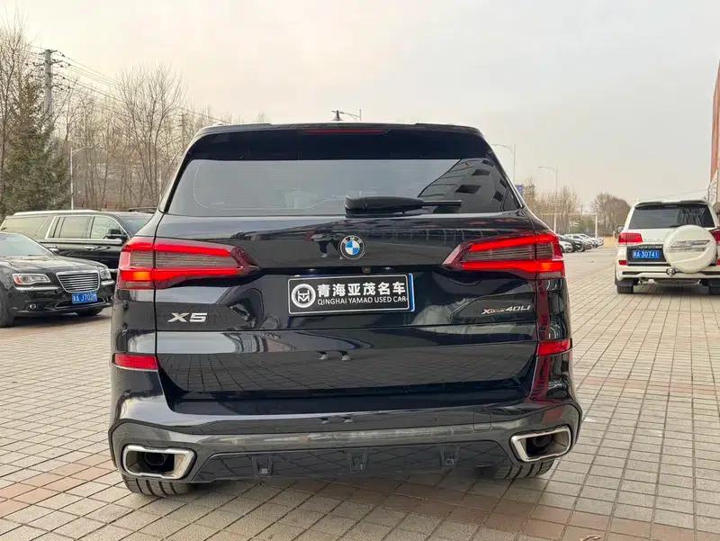 BMW X5 2022 xDrive 30Li Luxury M Sport Package — миниатюра 6