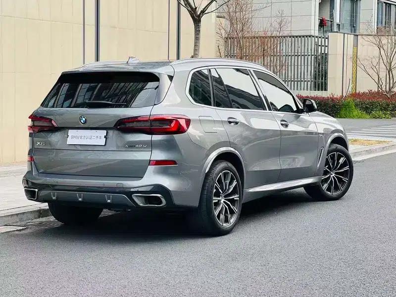BMW X5 2022 xDrive 30Li Luxury M Sport Package — миниатюра 6
