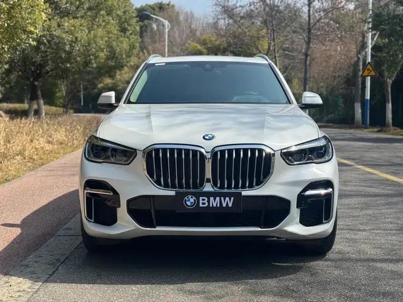 BMW X5 2022 Facelift xDrive 30Li M Sport Package — миниатюра 2