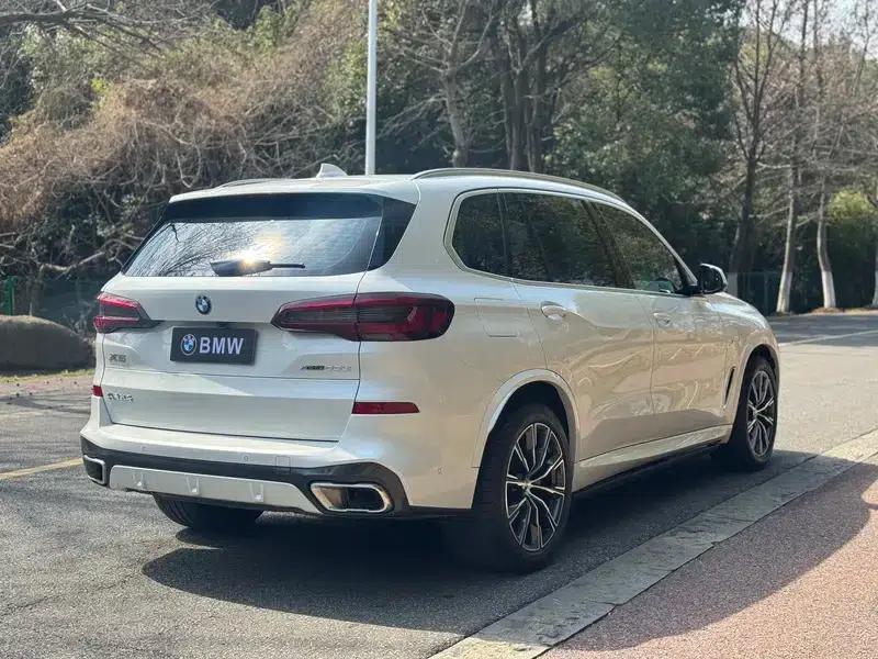 BMW X5 2022 Facelift xDrive 30Li M Sport Package — миниатюра 6