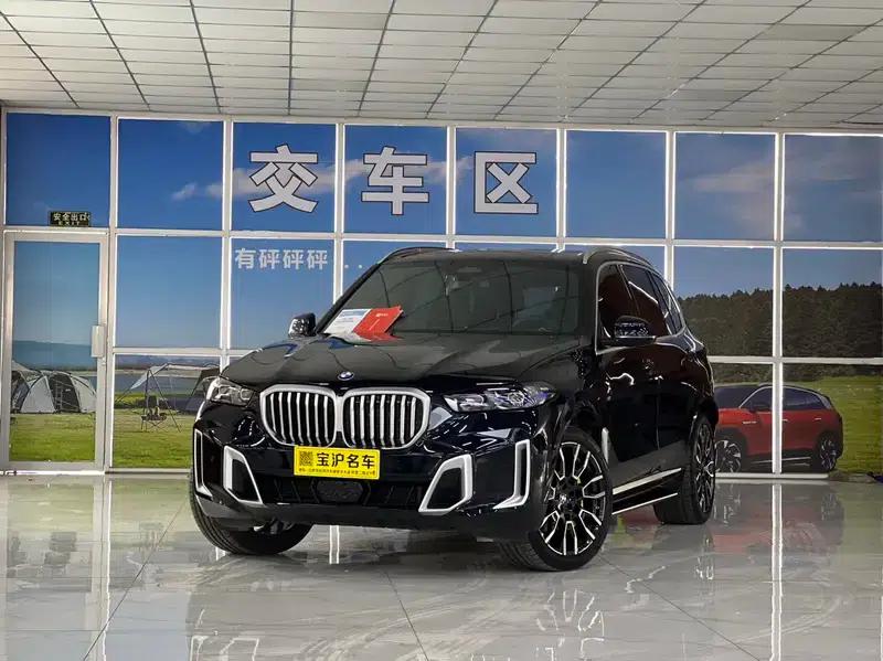 2023 BMW X5 xDrive40Li M Sport Package — миниатюра 19