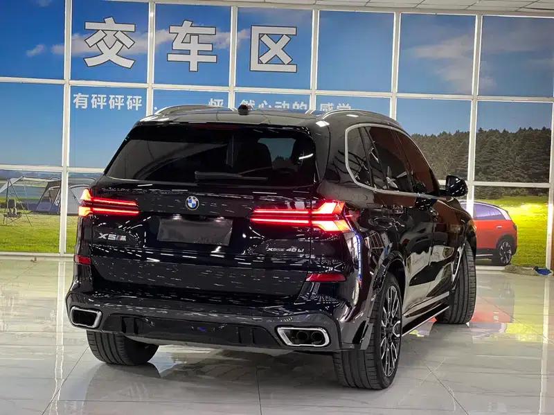 2023 BMW X5 xDrive40Li M Sport Package — миниатюра 6