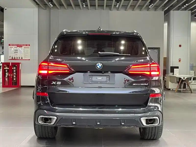 BMW X5 2022 Facelift xDrive 30Li M Sport Package — миниатюра 4