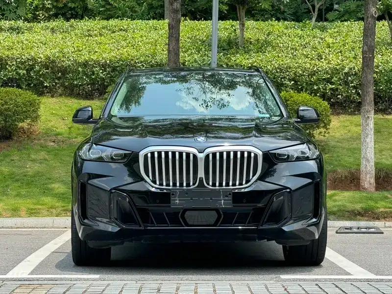 BMW X5 2023 xDrive30Li M Sport Shadow Edition — миниатюра 2