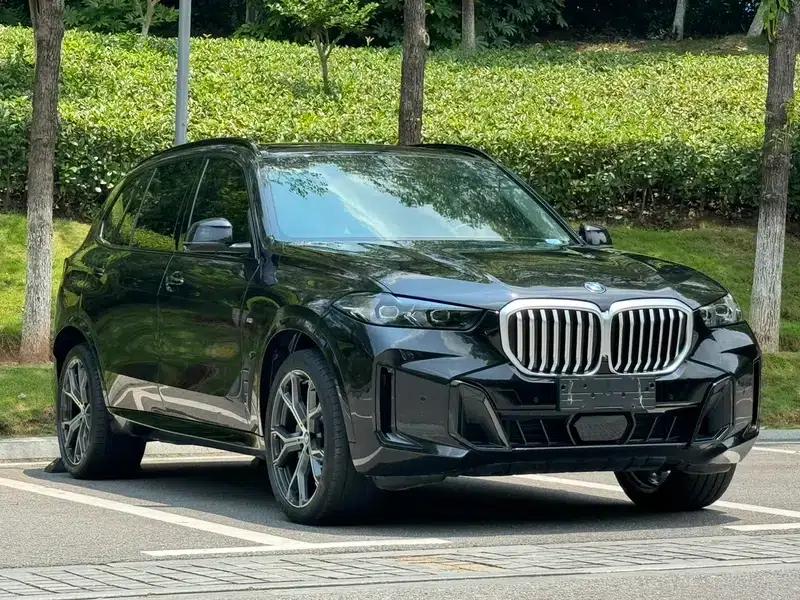 BMW X5 2023 xDrive30Li M Sport Shadow Edition — миниатюра 3