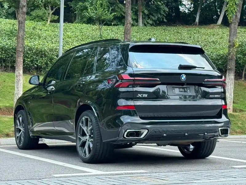 BMW X5 2023 xDrive30Li M Sport Shadow Edition — миниатюра 4