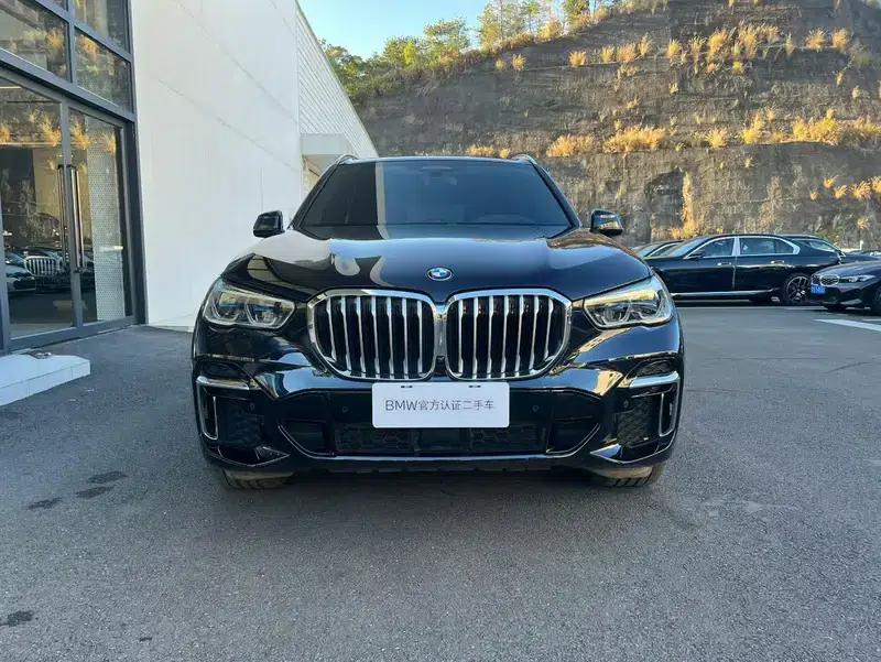 BMW X5 2022 xDrive 40Li Luxury M Sport Package — миниатюра 2
