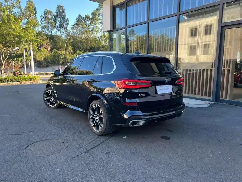 BMW X5 2022 xDrive 40Li Luxury M Sport Package — миниатюра 5
