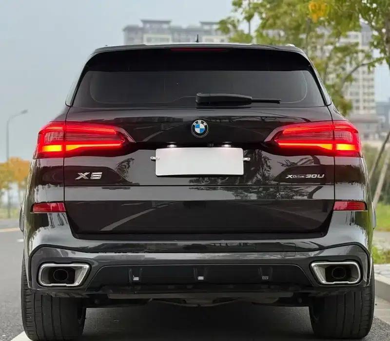BMW X5 2022 xDrive 30Li Luxury M Sport Package — миниатюра 5