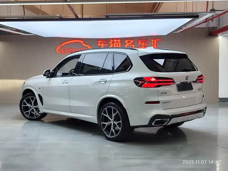BMW X5 2023 xDrive30Li M Sport Package — миниатюра 4