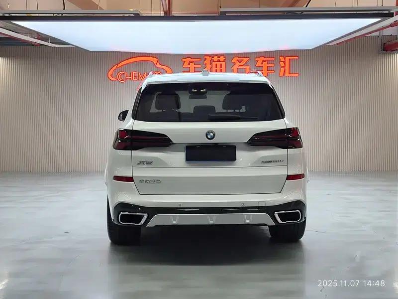BMW X5 2023 xDrive30Li M Sport Package — миниатюра 5