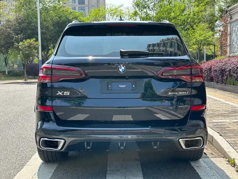 BMW X5 2022 xDrive 30Li Luxury M Sport Package — миниатюра 5