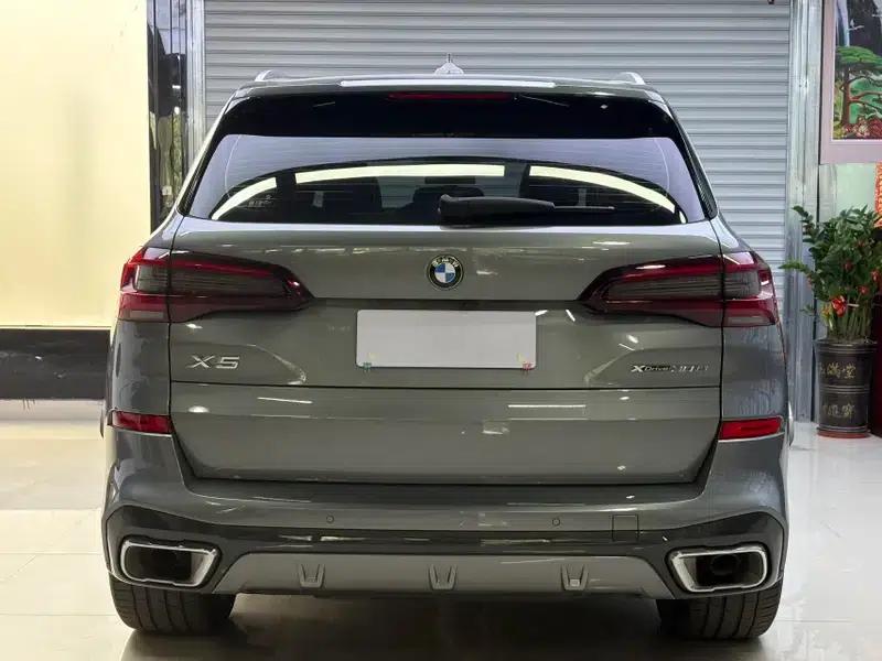 BMW X5 2022 xDrive 30Li Luxury M Sport Package — миниатюра 5