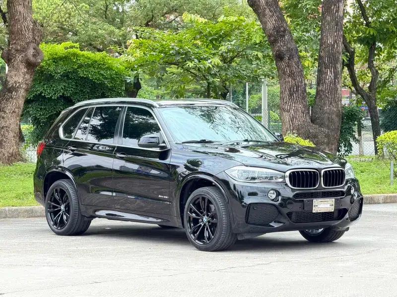 BMW X5 (Imported) 2016 Model 3.0T Automatic 4WD 5-Seater Parallel Import — миниатюра 3