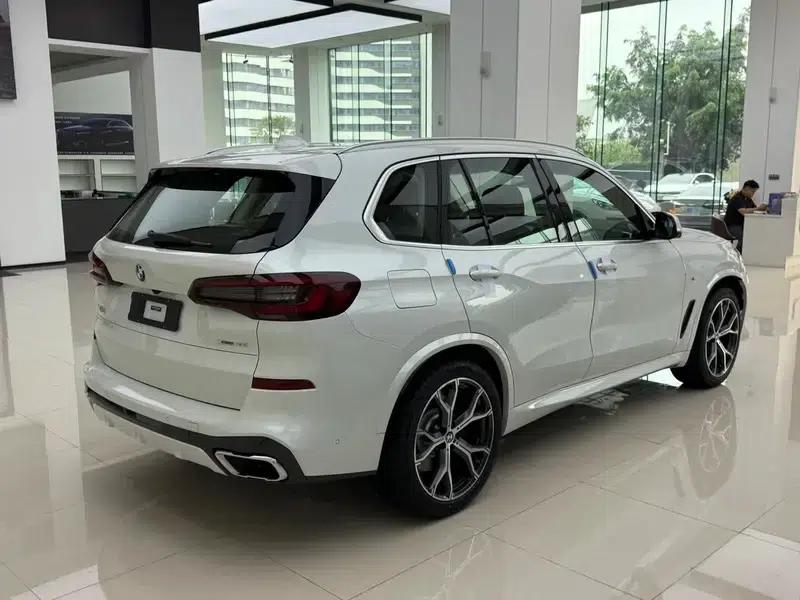 BMW X5 (Imported) 2020 xDrive40i Luxury M Sport Package — миниатюра 7