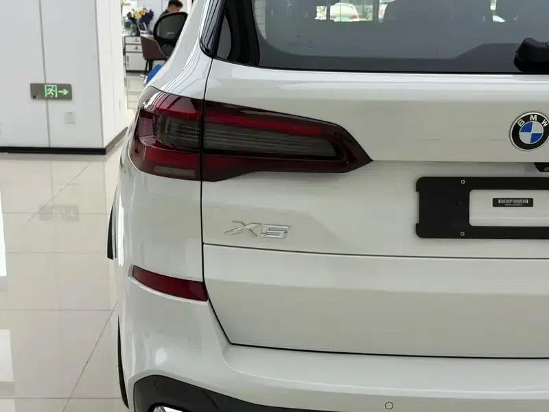 BMW X5 (Imported) 2020 xDrive40i Luxury M Sport Package — миниатюра 9
