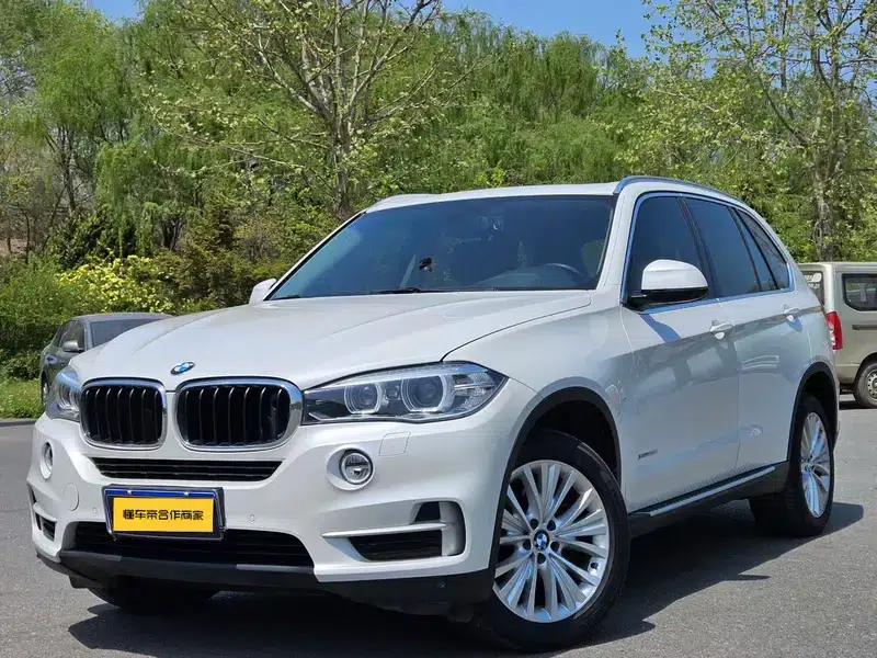 BMW X5 (Imported) 2014 xDrive35i Luxury — миниатюра 1
