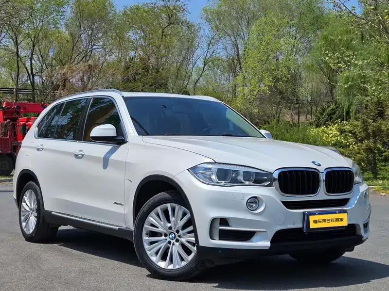 BMW X5 (Imported) 2014 xDrive35i Luxury — миниатюра 3