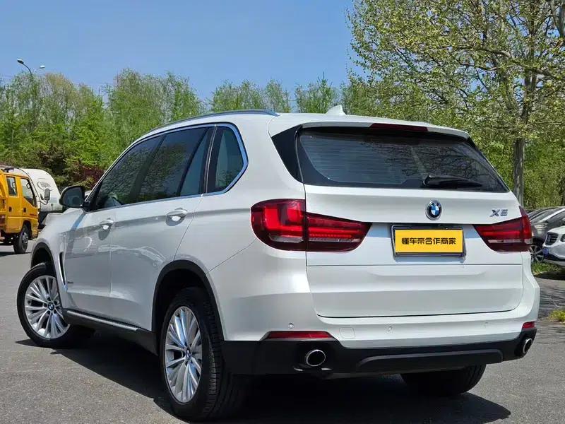 BMW X5 (Imported) 2014 xDrive35i Luxury — миниатюра 5