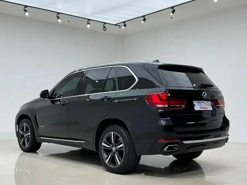 BMW X5 (Imported) 2018 xDrive35i Elegant Edition — миниатюра 5