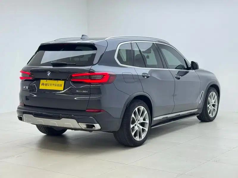 BMW X5 (Imported) 2020 xDrive30i X Design Package — миниатюра 7