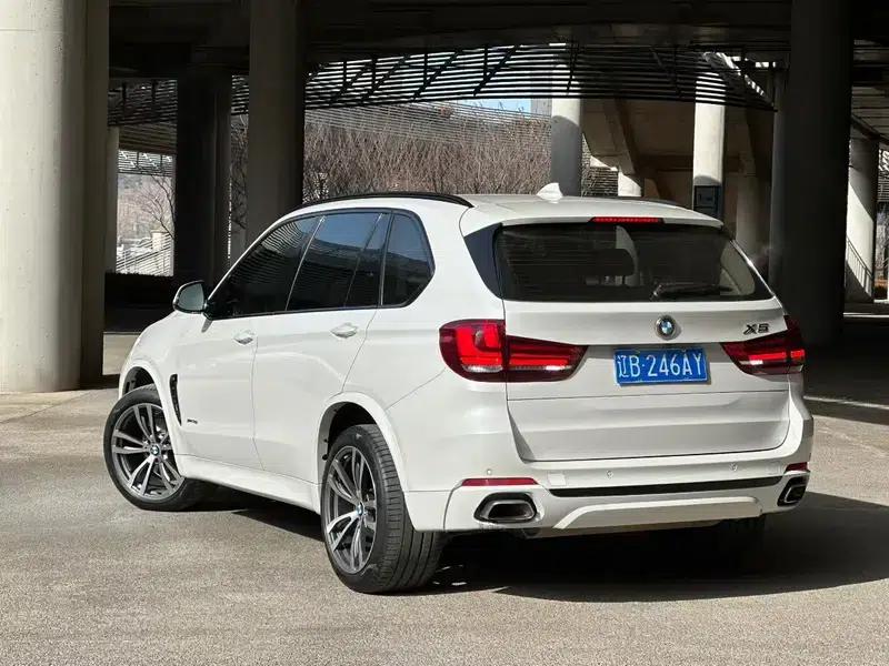BMW X5 (Imported) 2017 xDrive35i Elegant Edition — миниатюра 3