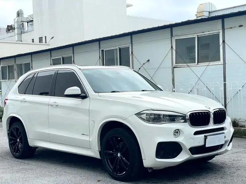 BMW X5 (Imported) 2018 Model 3.0T Automatic AWD 5-Seater Parallel Import — миниатюра 3