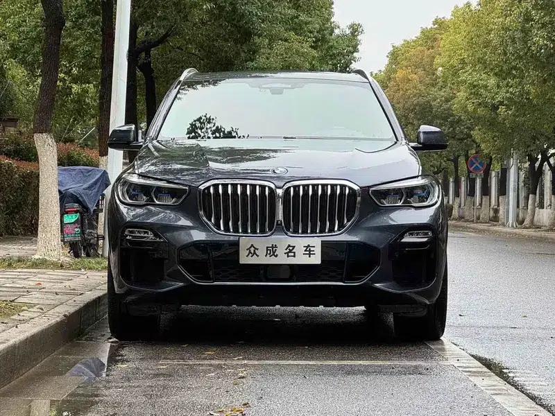 BMW X5 (Imported) 2019 xDrive40i Luxury M Sport Package — миниатюра 2