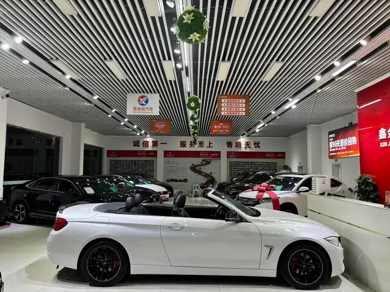 2016 BMW 4 Series 420i Convertible Fashion — миниатюра 8