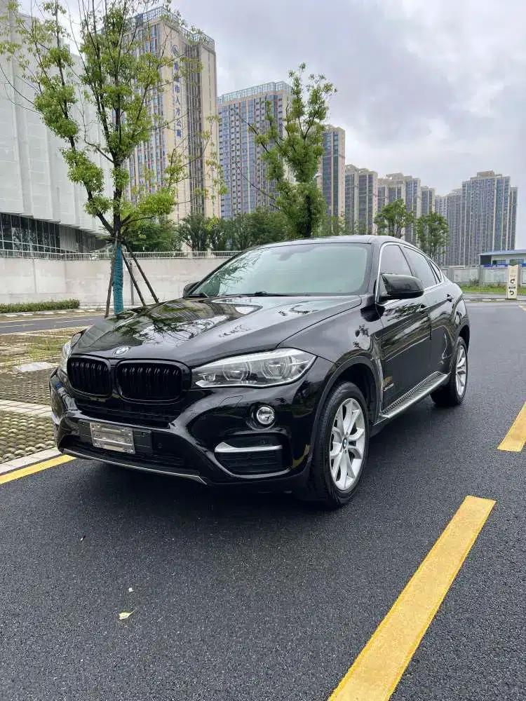2018 BMW X6 3.0T Automatic AWD 5-seater (Parallel Import) — миниатюра 1