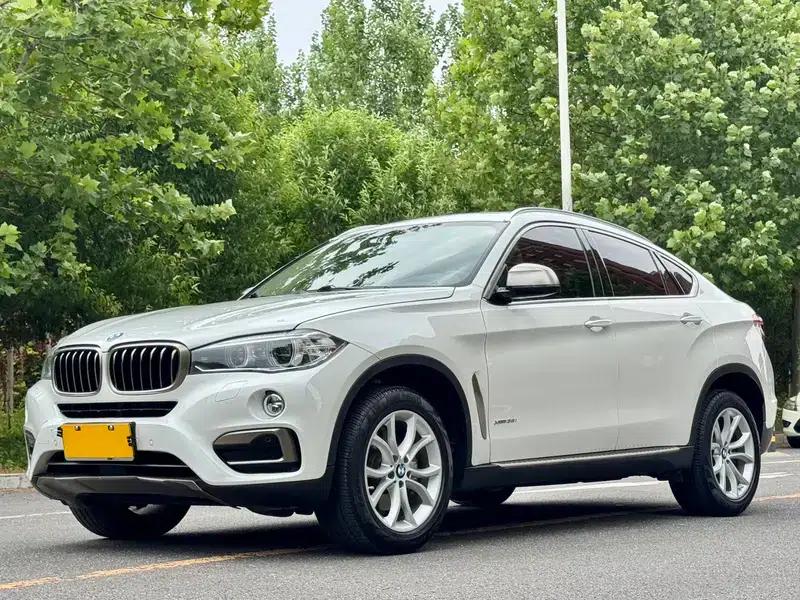 BMW X6 2018 xDrive35i Leading Edition — миниатюра 1