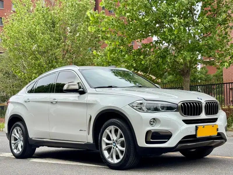 BMW X6 2018 xDrive35i Leading Edition — миниатюра 3