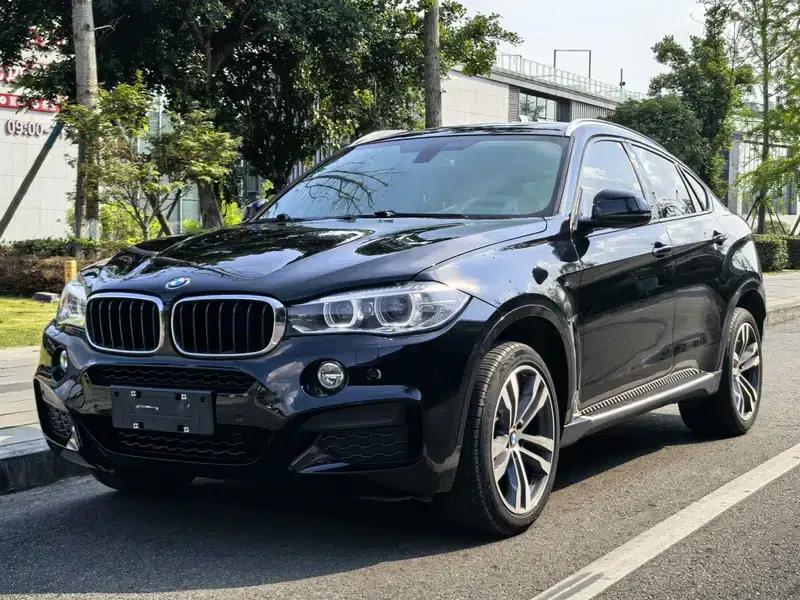 BMW X6 2018 xDrive35i Leading Edition — миниатюра 1